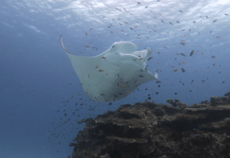 Screenshot 2017-06-27 09.46.02