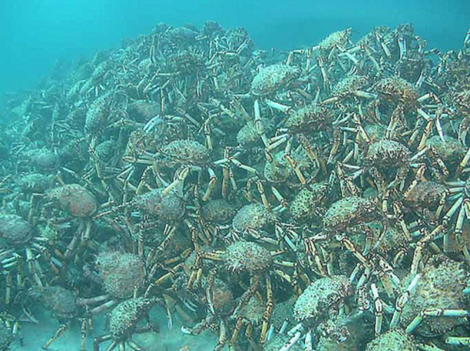 Screenshot 2017-06-29 17.54.18.png